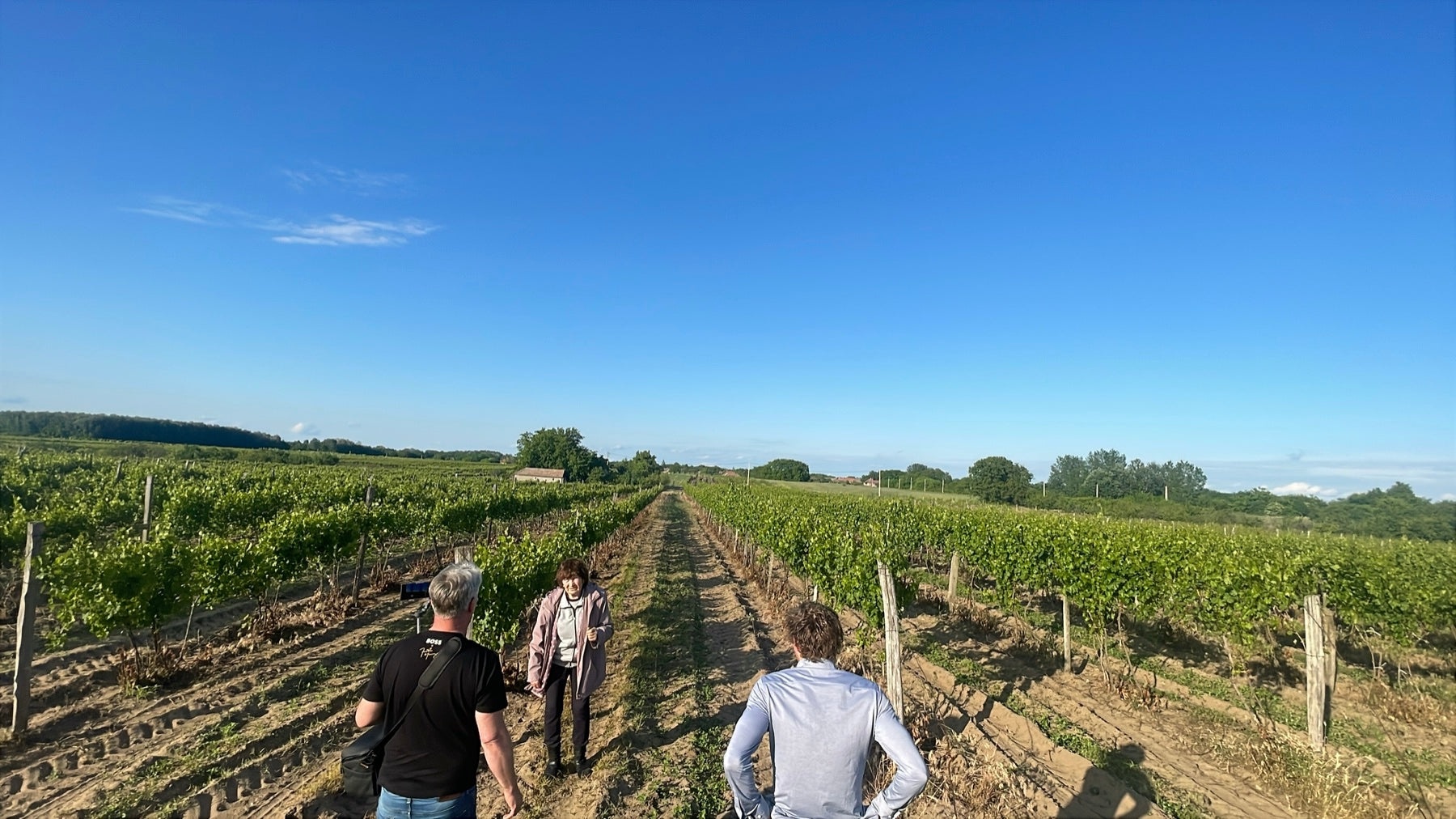 The first viewing of the house and vineyard in Kecel